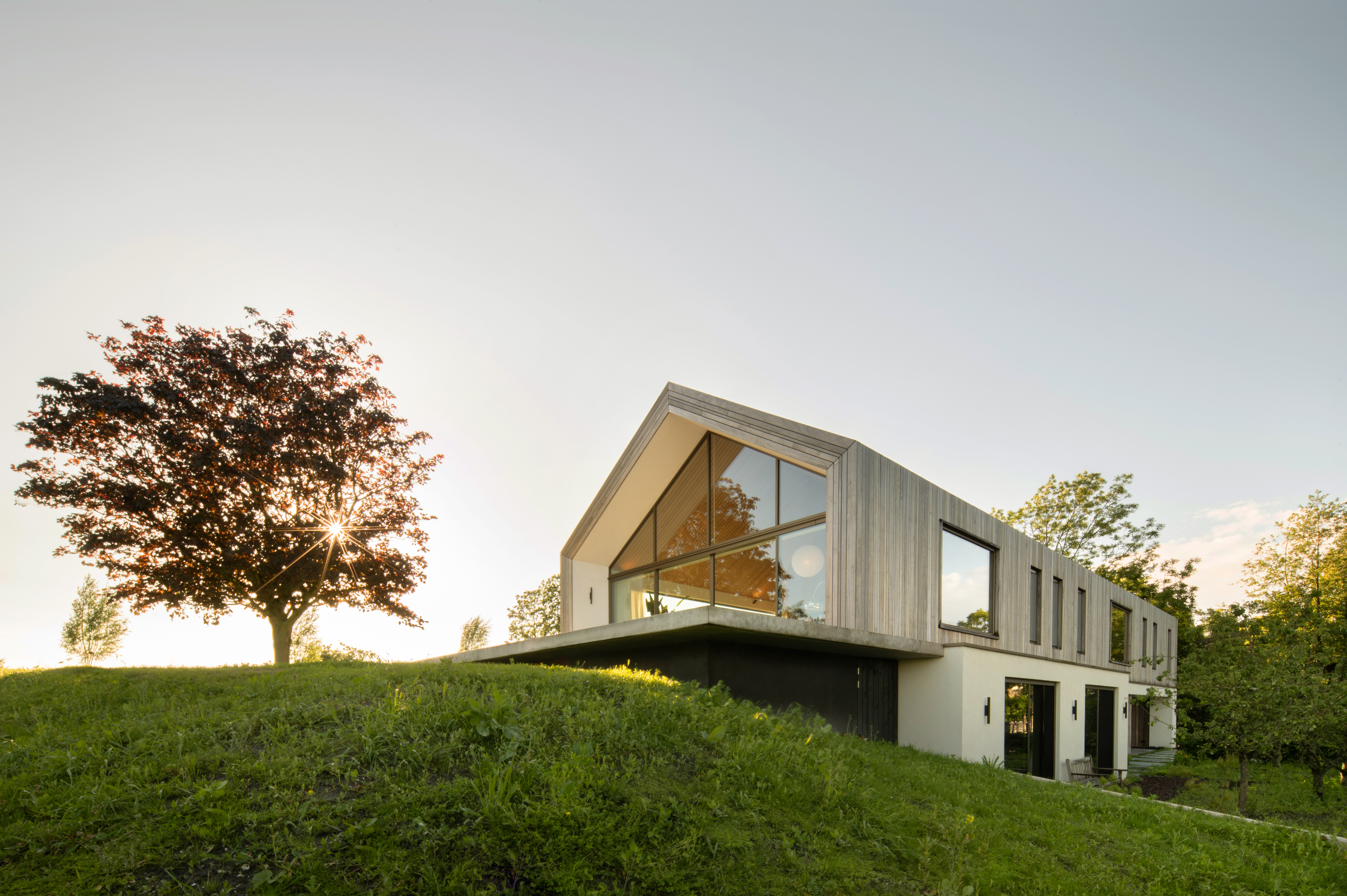 © Aiste Rakauskaite 2